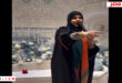 مقطع فضيحة ام علي الملايه