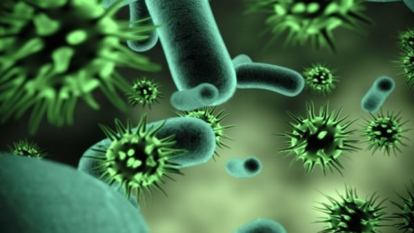 Symptoms of the Hanta virus
