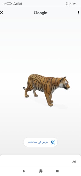 Tiger ثلاثي الابعاد