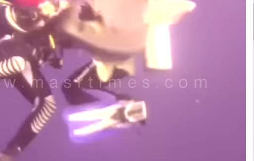 شاهد بالفيديو هجوم سمكة