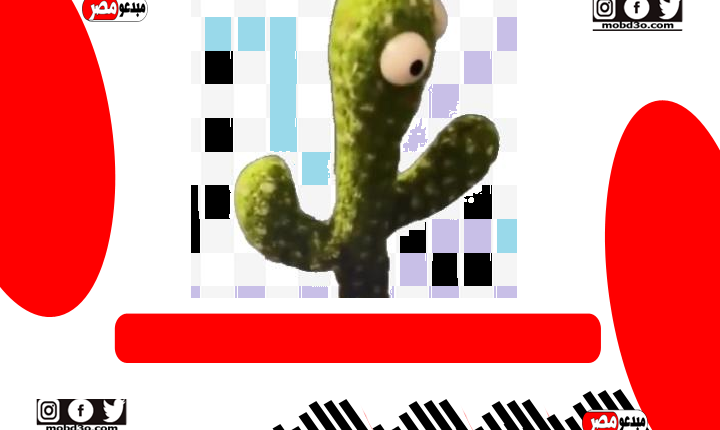 الصبارة الراقصة