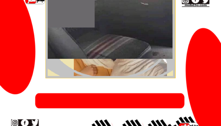 فيديو الكوستر
