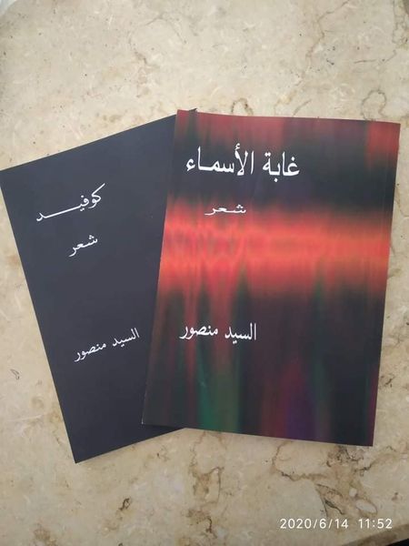 الشاعر السيد منصور