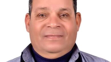 فتحي البريشي