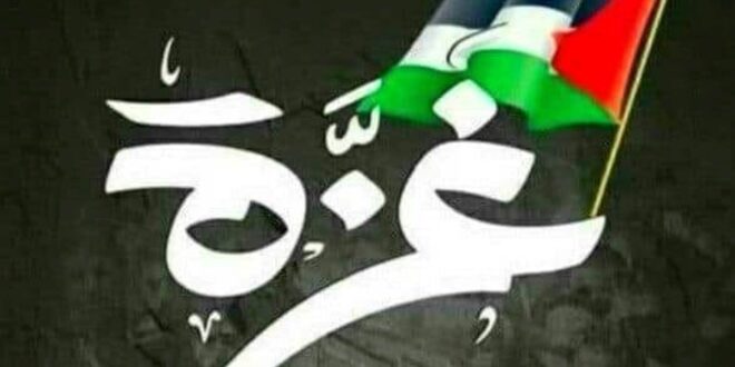 الشَّمسُ.. لا تنكسِرُ..! شعر البيومي محمد عوض