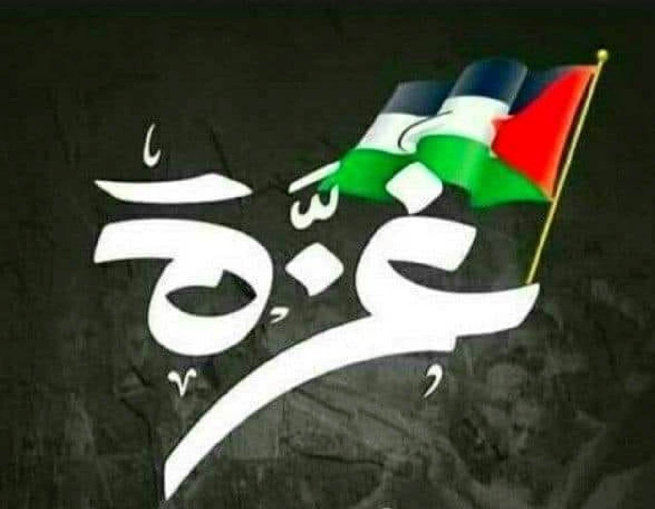 الشَّمسُ.. لا تنكسِرُ..! شعر البيومي محمد عوض