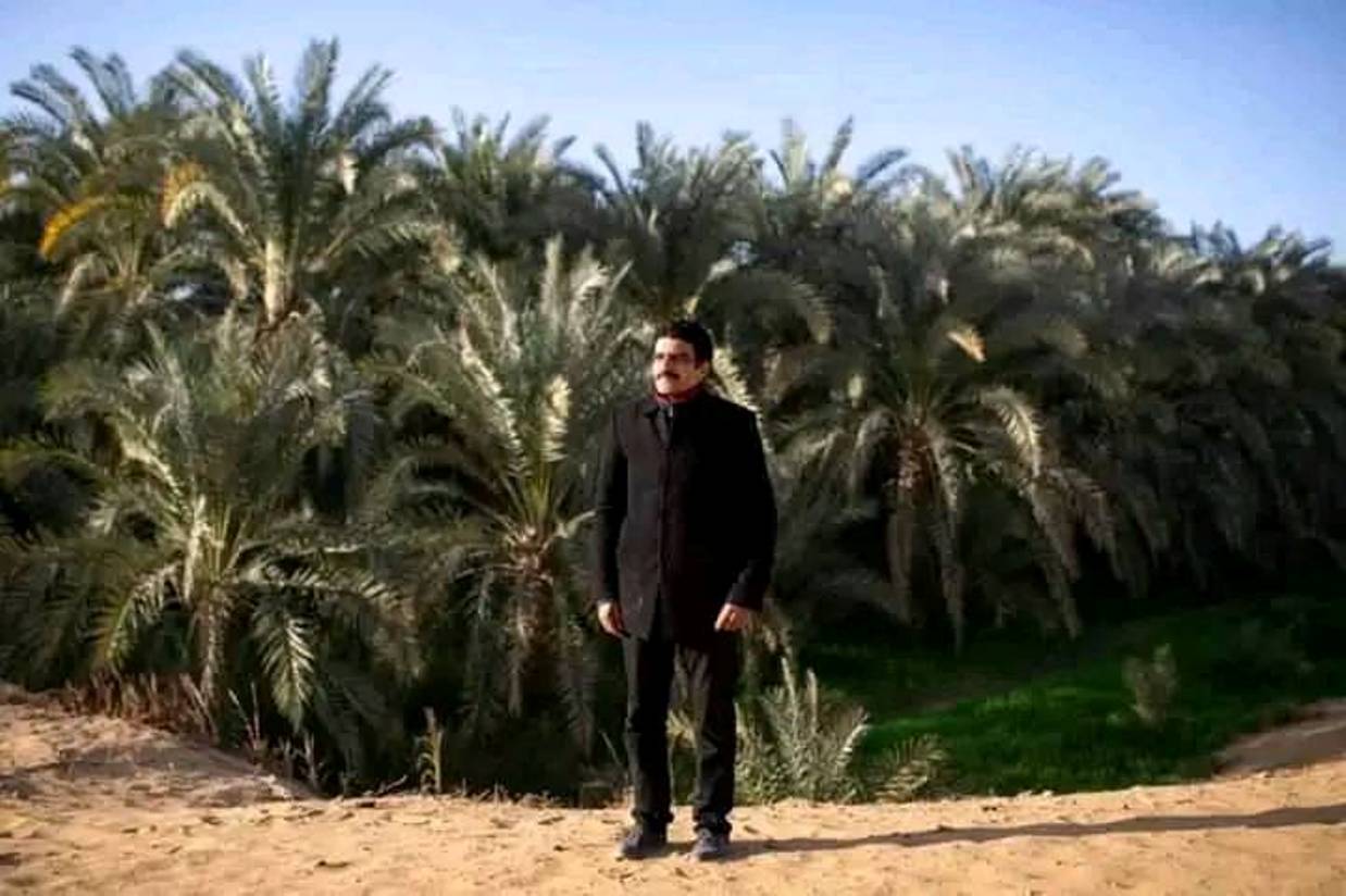 نخيل كثيف يصفق بجريده