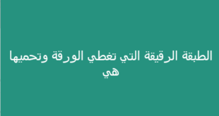 الطبقة الرقيقة التي تغطي الورقة وتحميها هي