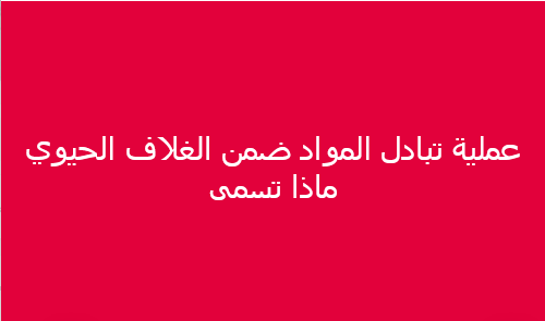 عملية تبادل المواد ضمن الغلاف الحيوي ماذا تسمى