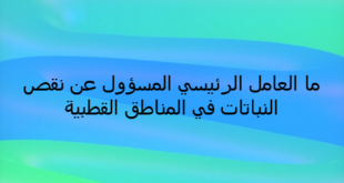 ما العامل الرئيسي المسؤول عن نقص النباتات في المناطق القطبية