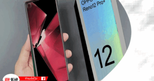 Reno 12 Pro