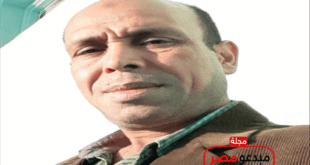 موسوعة ادباء مصر.. السيدحمزة