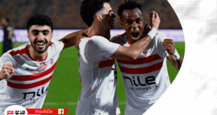 تشكيل الزمالك
