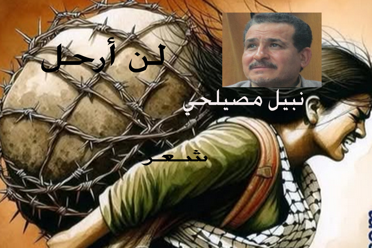 لن ارحل.. شعر: نبيل مصيلحي