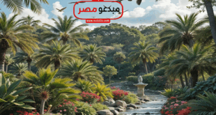 كيف نعيش الحياة امنين
