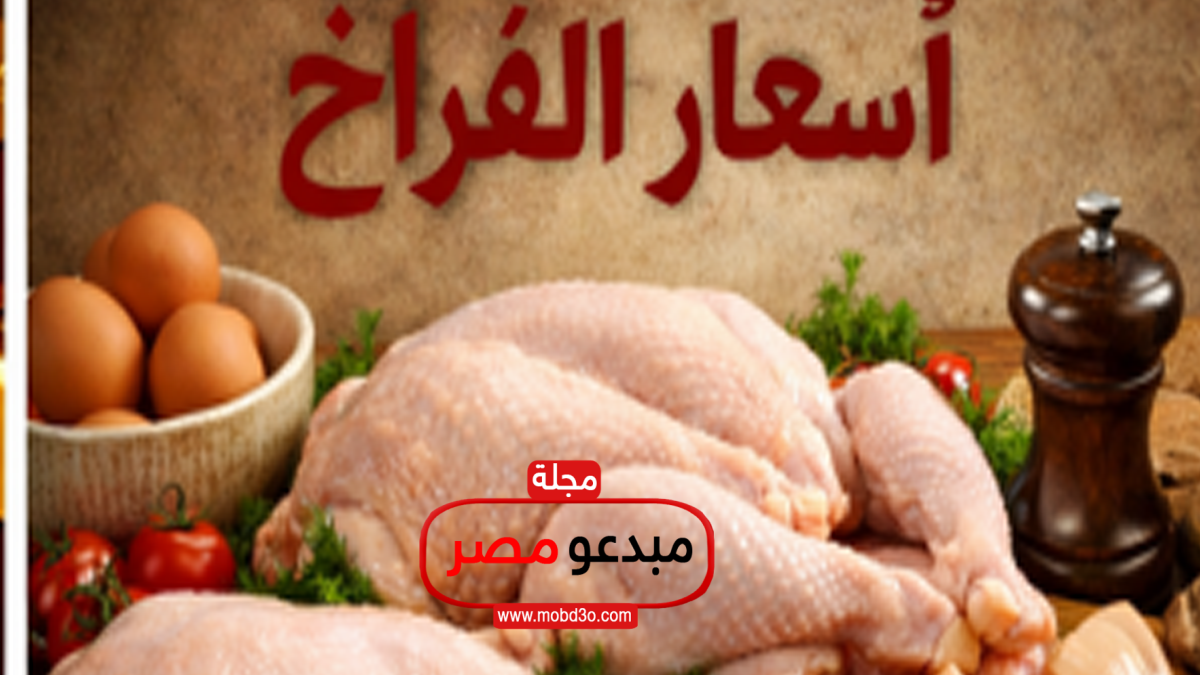 أسعار الفراخ البيضاء اليوم في مصر اليوم الاثنين 6 من أبريل 2026