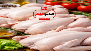 الفراخ و البيض والدواجن