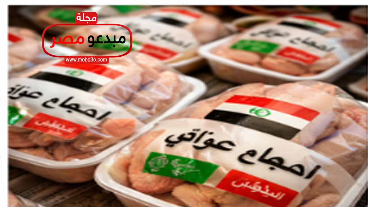 الدجاج-في-العراق الدجاج العراقي كم سعره اليوم