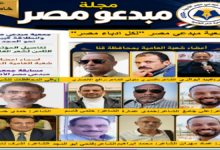 اعضاء شعبة شعر العامية بقنا ووفد قنا في مؤامر شعراء العاميو القادم