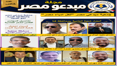 اعضاء شعبة شعر العامية بقنا ووفد قنا في مؤامر شعراء العاميو القادم